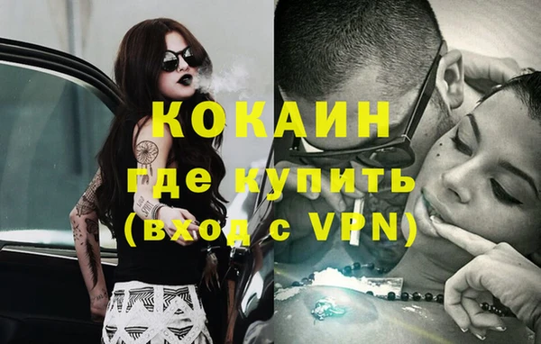 эйфоретик Богданович