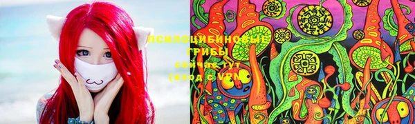 таблы Белокуриха