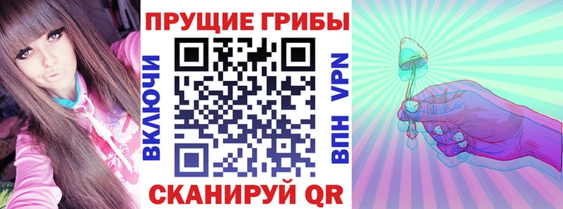 что такое   Вельск  Псилоцибиновые грибы ЛСД 